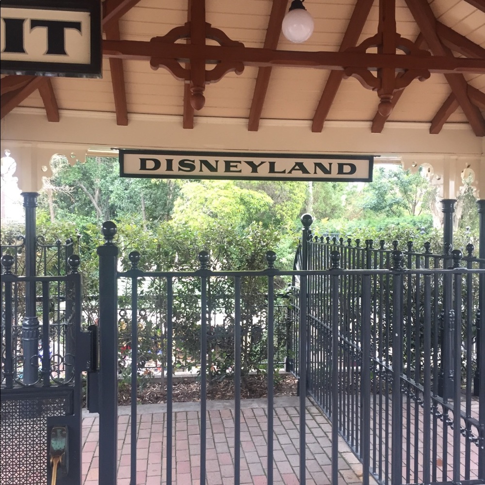 Disney - Picture 3 of 3